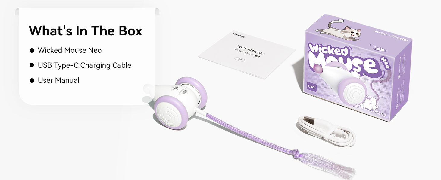 interactive cat toy
