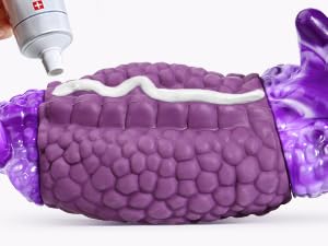 dog toys for large dogs