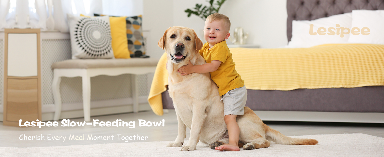 feeding bowl for cat