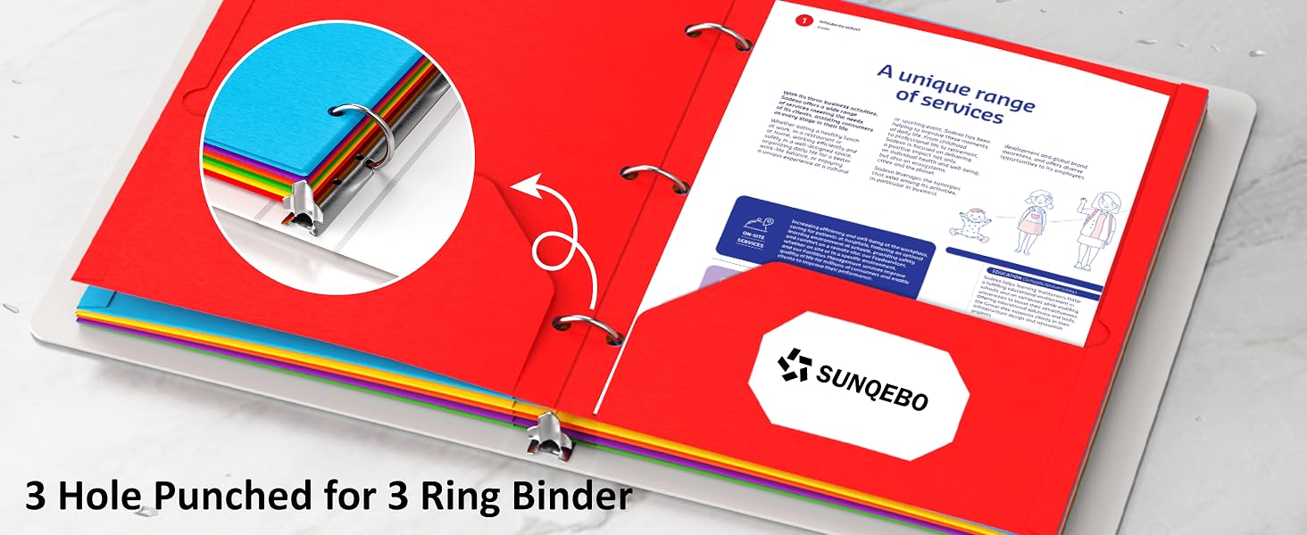 3 hole punched folders