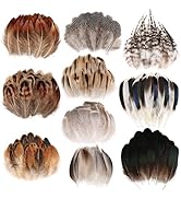 FeelfunFeather 300 pcs Small Feathers - 10 Style Mixed Spotted Decorative Natual Pheasant Feather...