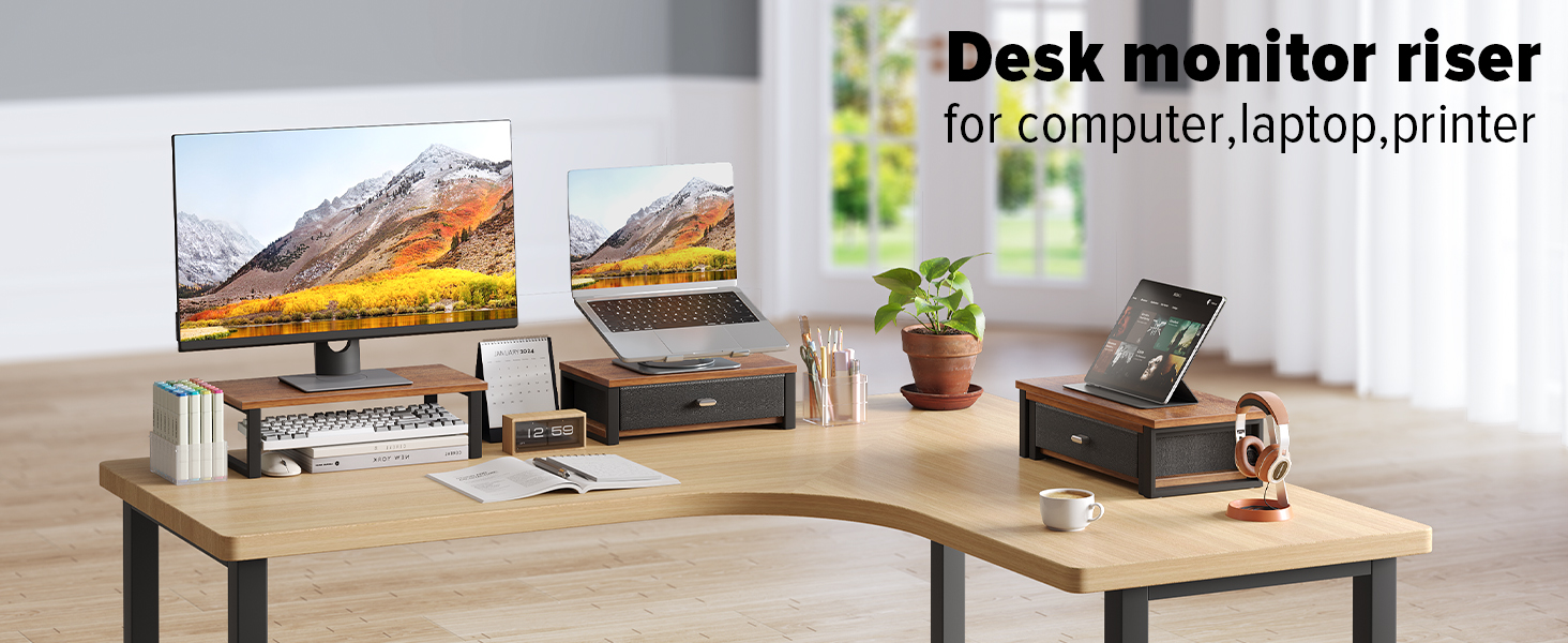monitor riser