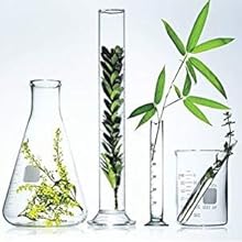 About JuniorLabs