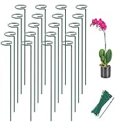 Joyhalo 20 Pack Plant Stakes, 16 Inch Plant Support Stakes, Flower Stakes with 24 Twist Ties, Gar...