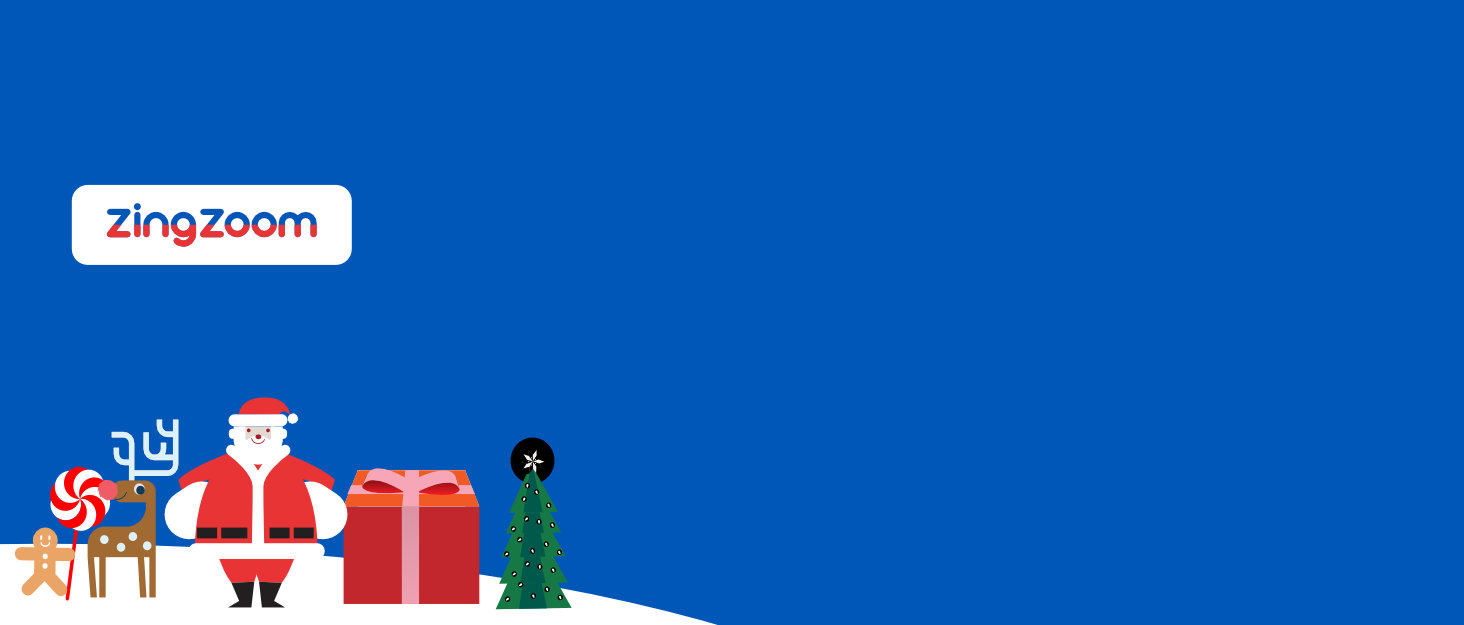 zingzoom brand story