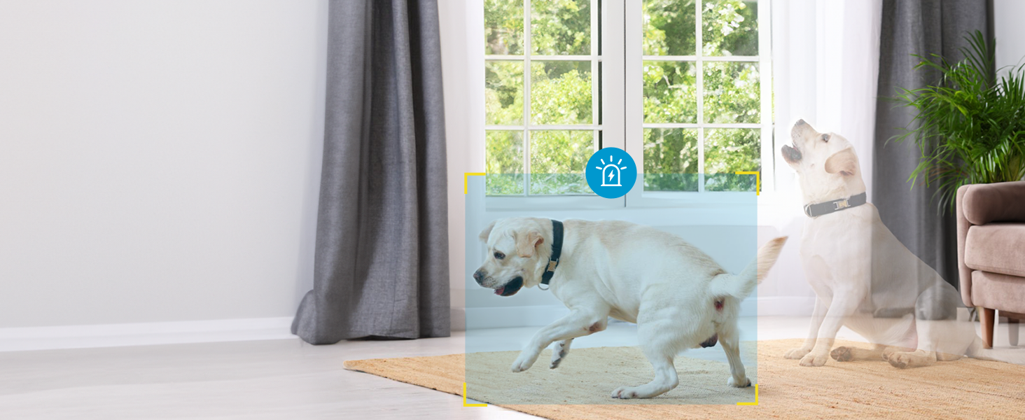 dog camera with speaker