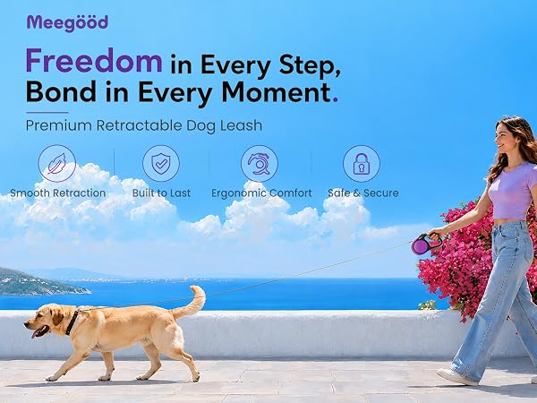 retractable dog leash