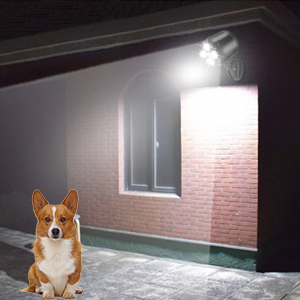 Porch Flood Light