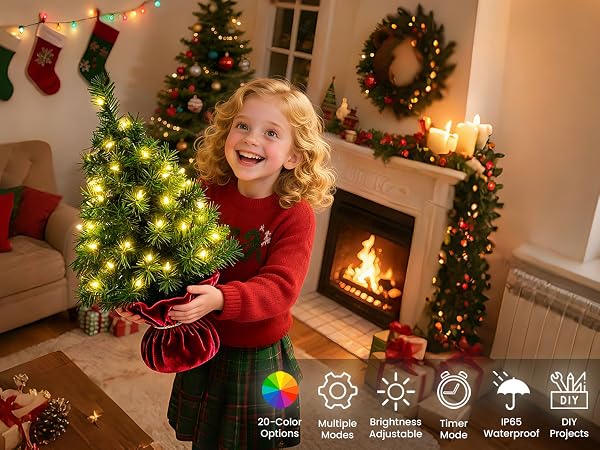multicolor string lights