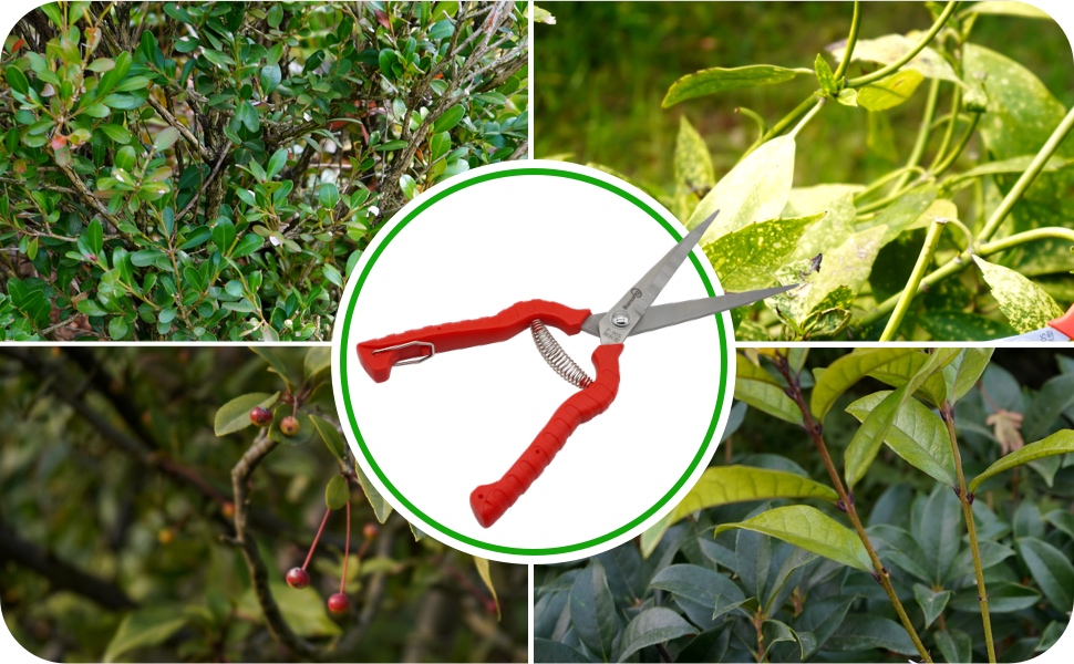 Ergonomic non-slip handle