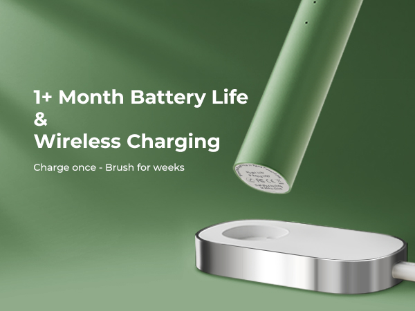 electric toothbrush for adults