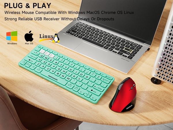 Ergonomic Mouse Wireless,2.4G Optical Cordless Mice,Vertical Computer Wireless Mouse for Laptop