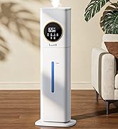 humidifier for bedroom large room