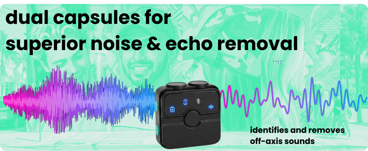 dual capsules for intelligent noise & echo removal
