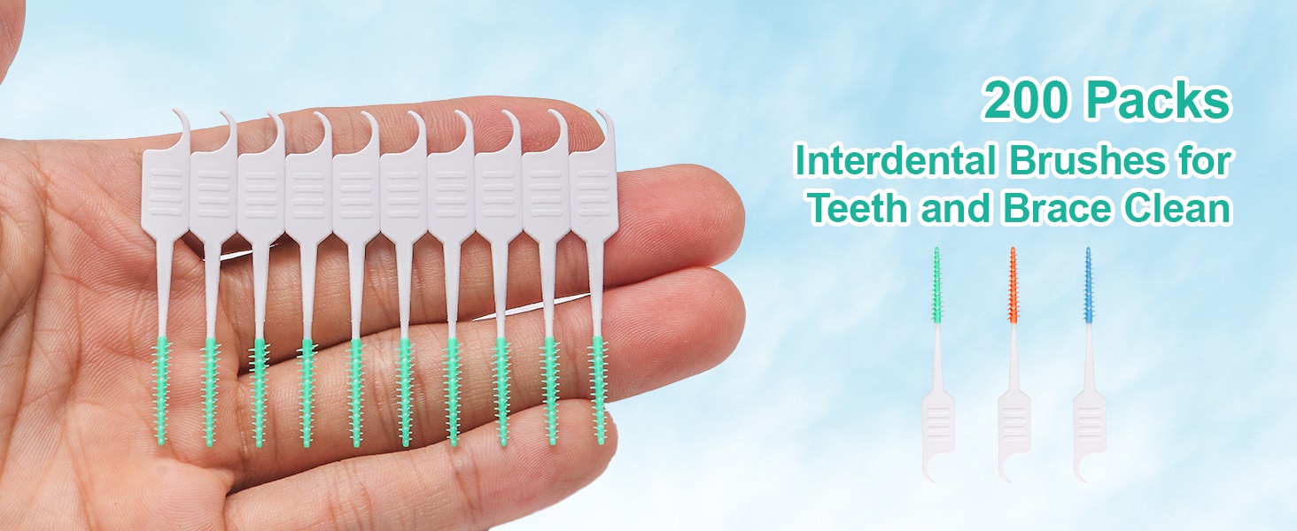 Dental Floss Picks