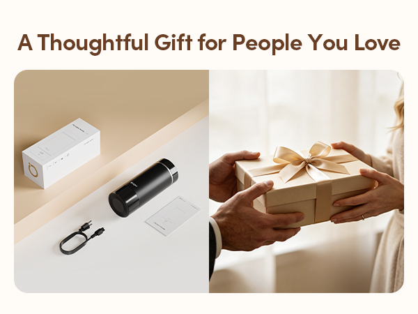 Travel Electric Kettle