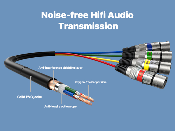 XLR Snake Cable