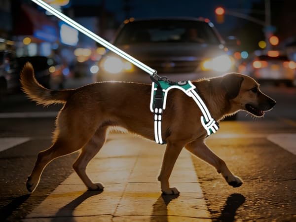 reflective dog harness