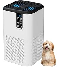 https://m.media-amazon.com/images/I/41gVk8TBjKL.__AC_SR200,225___.jpg
