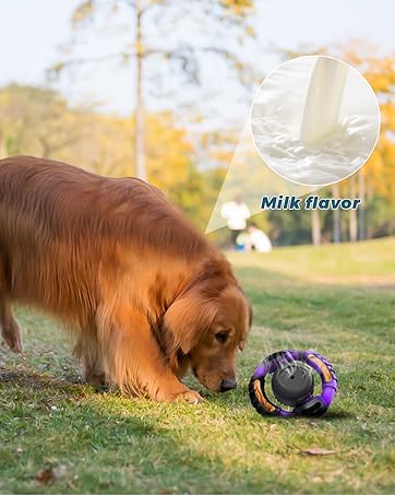 dog chew toy