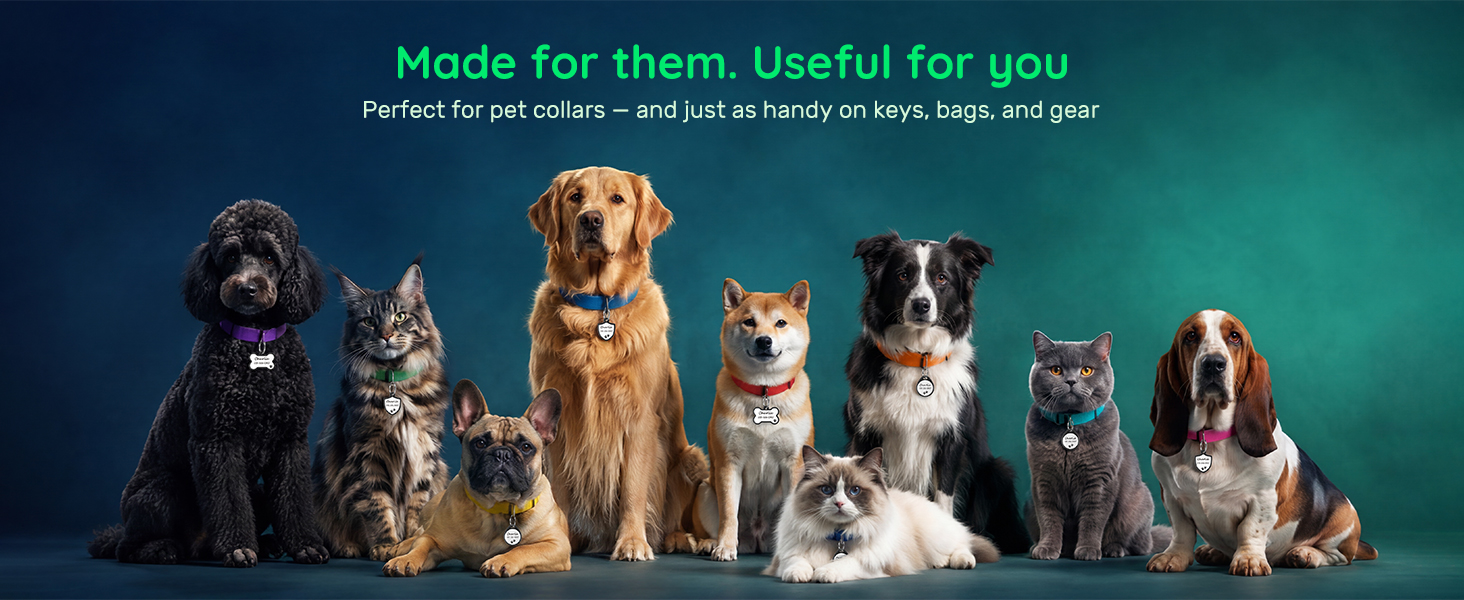 dog tag