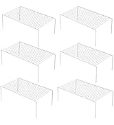 iPEGTOP 6 Pack Large (15.7 x 9.4 Inch) Freezer Cabinet Storage Shelf Rack, Rustproof Stainless St...