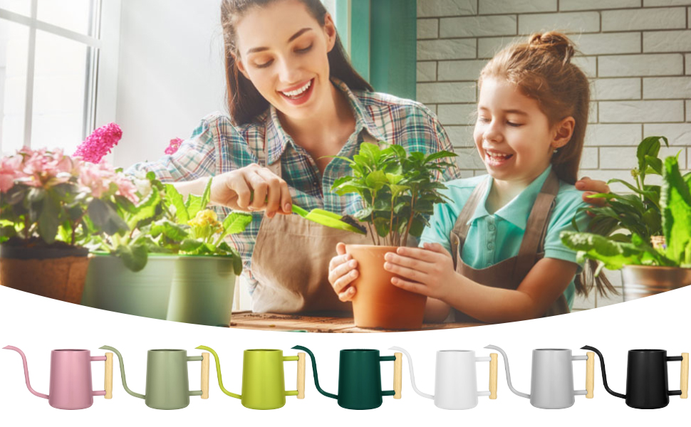 Watering Can Indoor Plants
