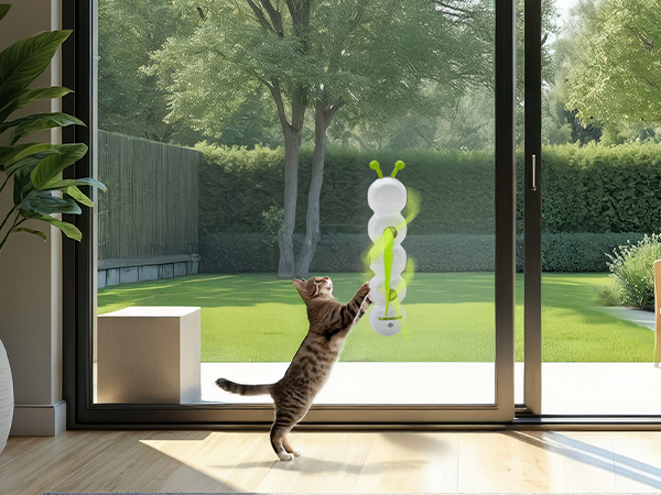 cat toy 3241