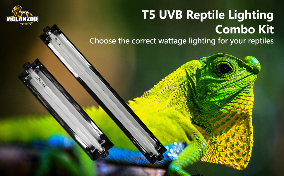 UVB reptile light