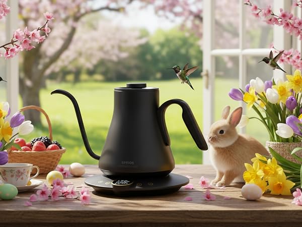 kettle