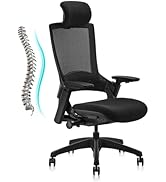 CLATINA Ergonomic High Swivel Executive Chair with Adjustable Height Head 3D Arm Rest Lumbar Supp...