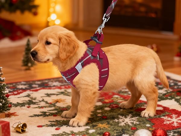Christmas dog harness