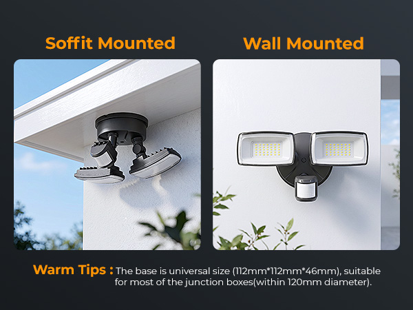 Security Floodlight