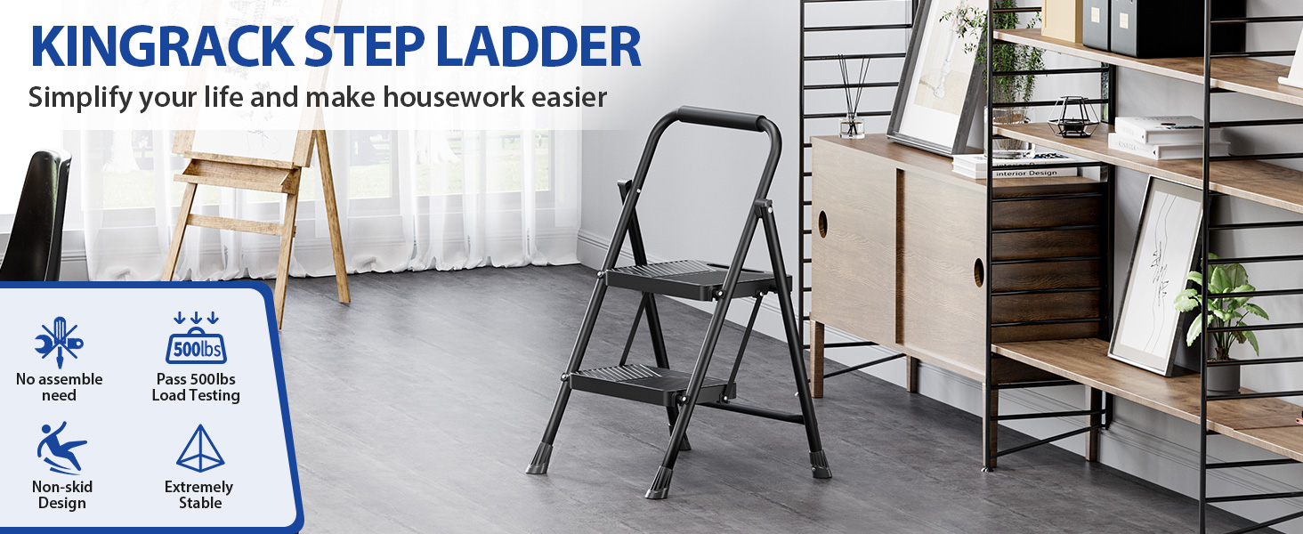 2 Step Ladder