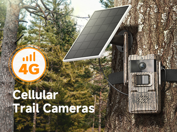 Trail Camera