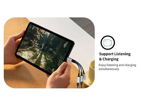 usb c to 3.5mm audio adapter