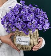 purple outdoor flowers