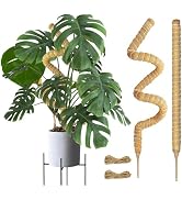 Joyhalo Bendable Moss Pole for Plants, 2 Pack 24 Inch Monstera Plant Support Stakes, Moss Poles f...
