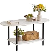 Aibiju 2 Tier Coffee Table with Open Storage Shelf, Oval Wood Tea Table 17 inch high, Small Table...