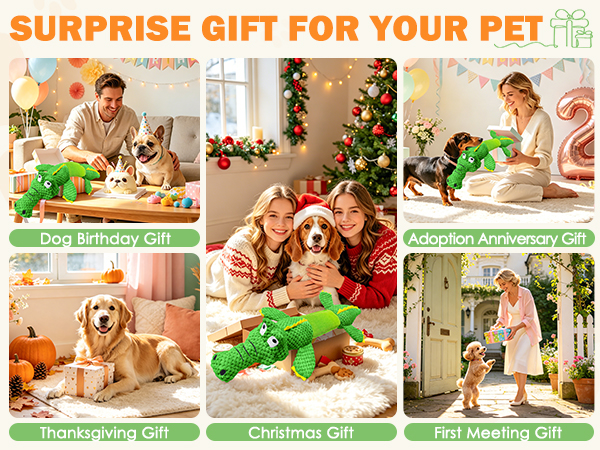 dog gifts