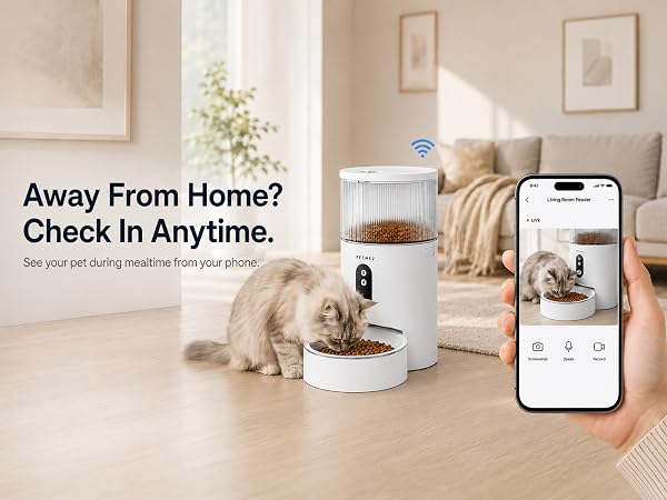automatic cat feeder