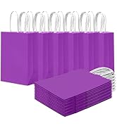 qiqee 24PCS Small Gift Bag with Handles Bulk 8.3