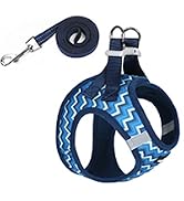 black blue dog harness