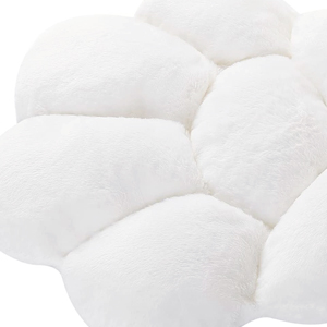 CAT PAW CUSHION