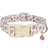 Astdogio Dog Collar for Medium Dogs, Spring &Summer Theme Blue Medium Dog Collars with Pink Rose ...