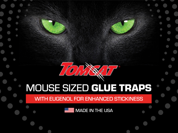 Tomcat Glue Traps Mouse Size with Eugenol