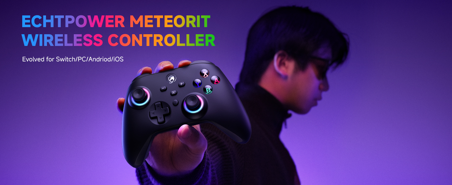 Switch Pro Controller