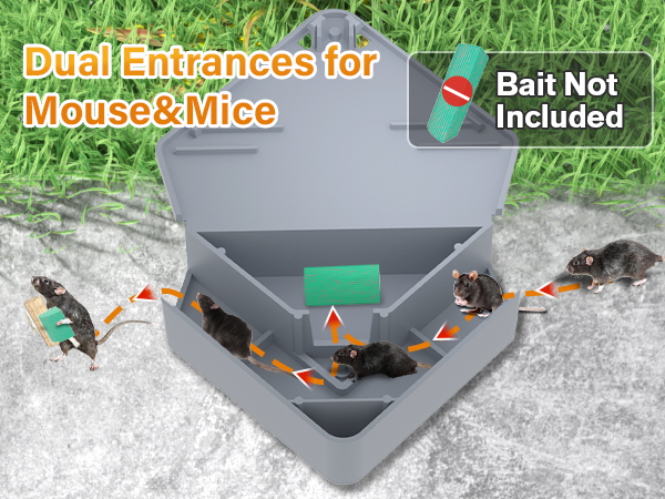 mouse stations mice station mouse box trap mice trap box
