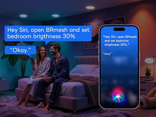 smart downlight voice control
