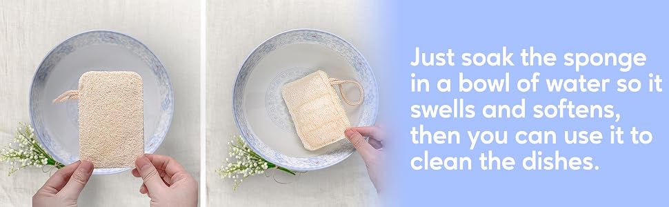 eplanita natural kitchen sponges loofah dishwashing sustainability scourer dish cleaning